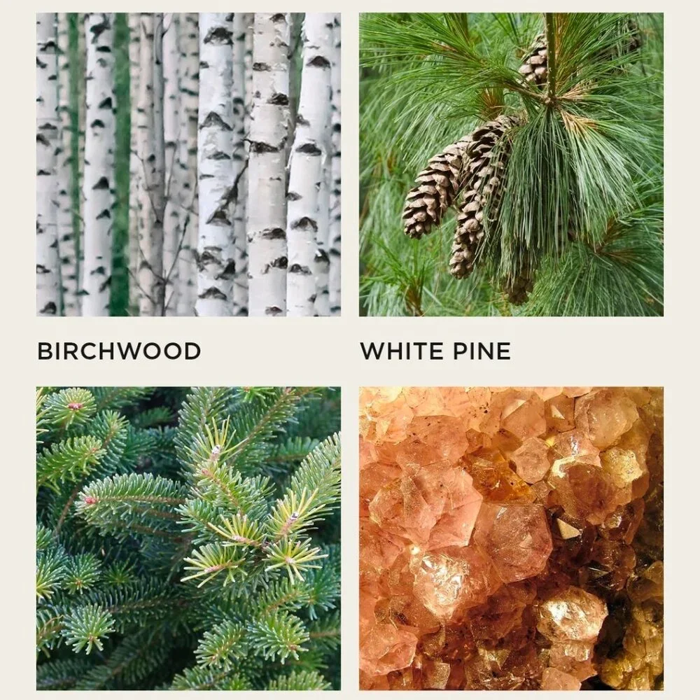 Birchwood Pine Luxury Candle NEST New York - Picture 4 of 5